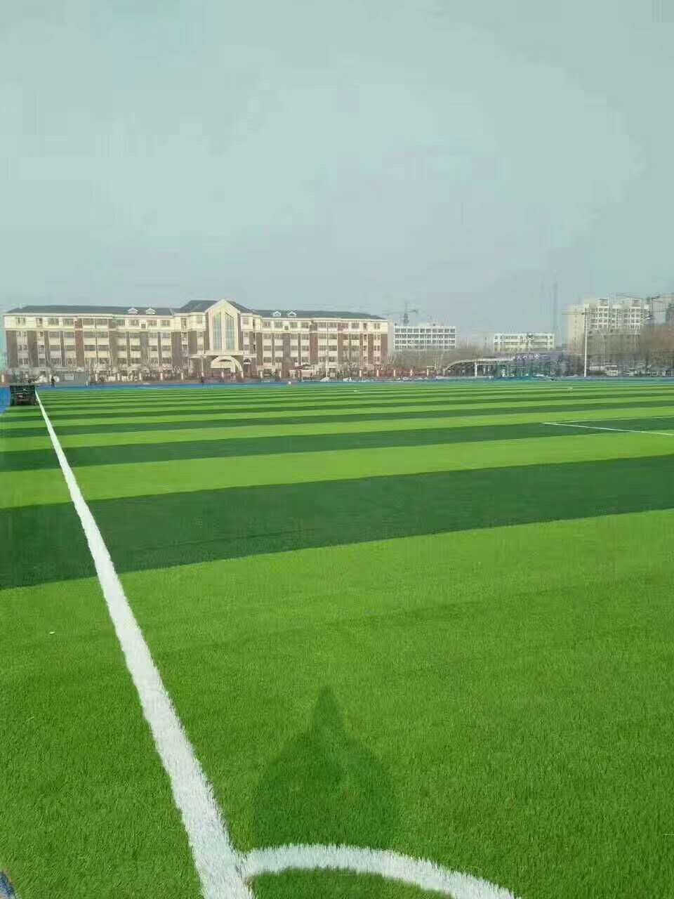 乌兰察布市塑胶颗粒仿真草坪 - 价格